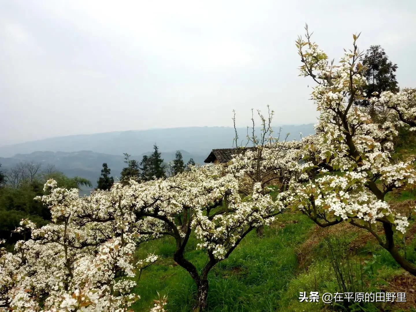 今日特码科普！星空影院在线播放免费观看视频,百科词条爱好_2024最快更新