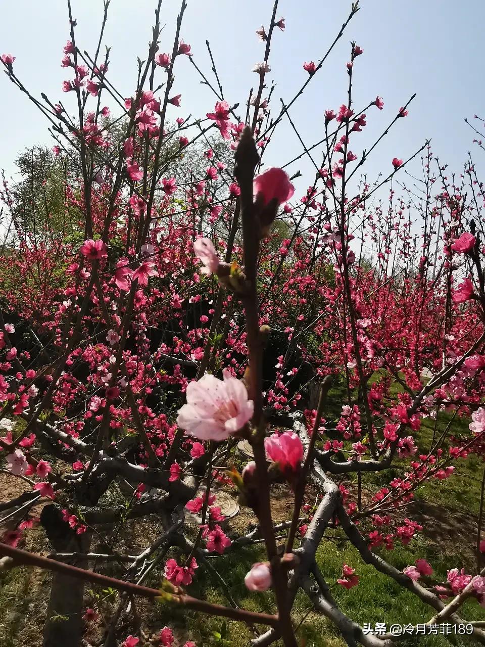 今日特码科普！星空影院在线播放免费观看视频,百科词条爱好_2024最快更新