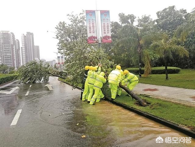 今日特码科普！台风路径锁定广东,百科词条爱好_2024最快更新