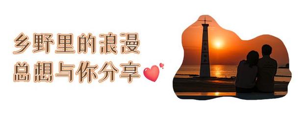 今日特码科普！今期管家家婆图图片,百科词条爱好_2024最快更新